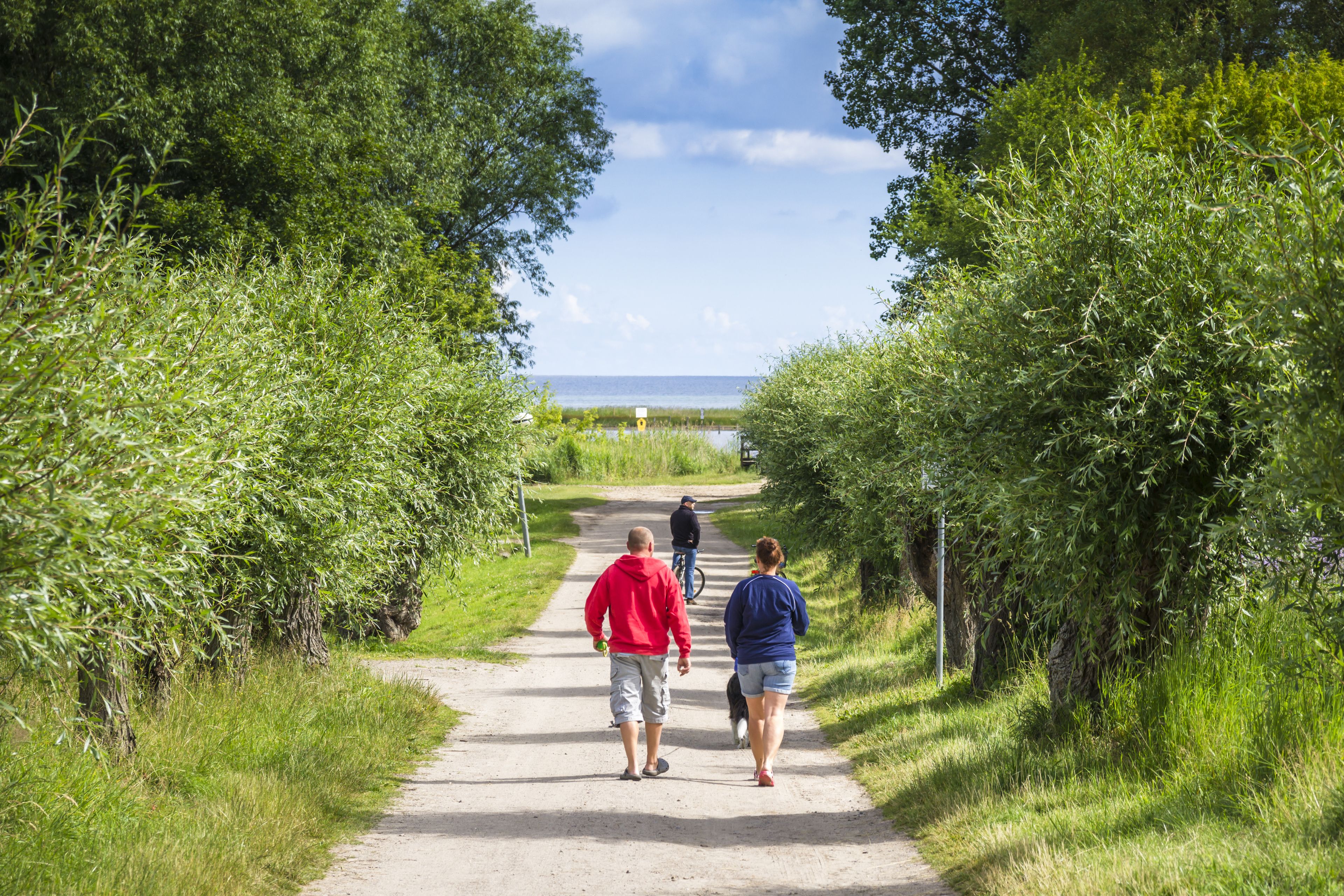 Photo - Inselhotel Poel