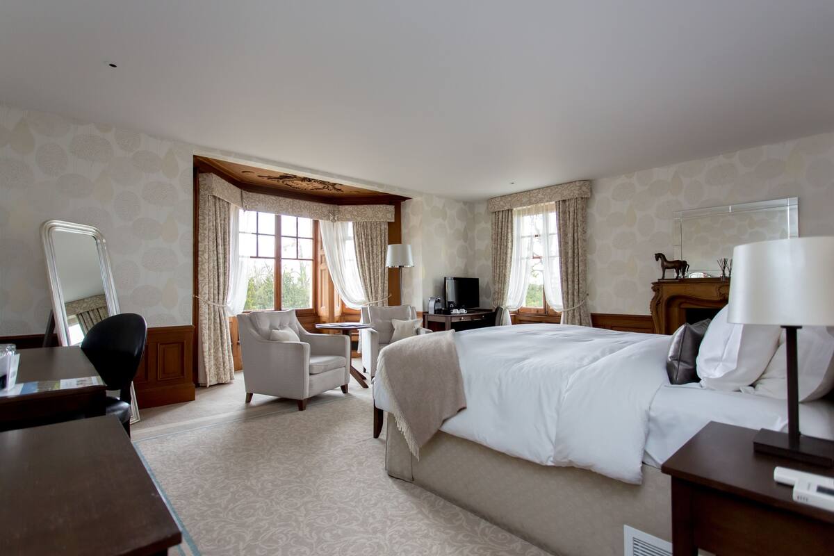 A hotel room with a bed, a desk, a chair, a TV, and a mirror.
