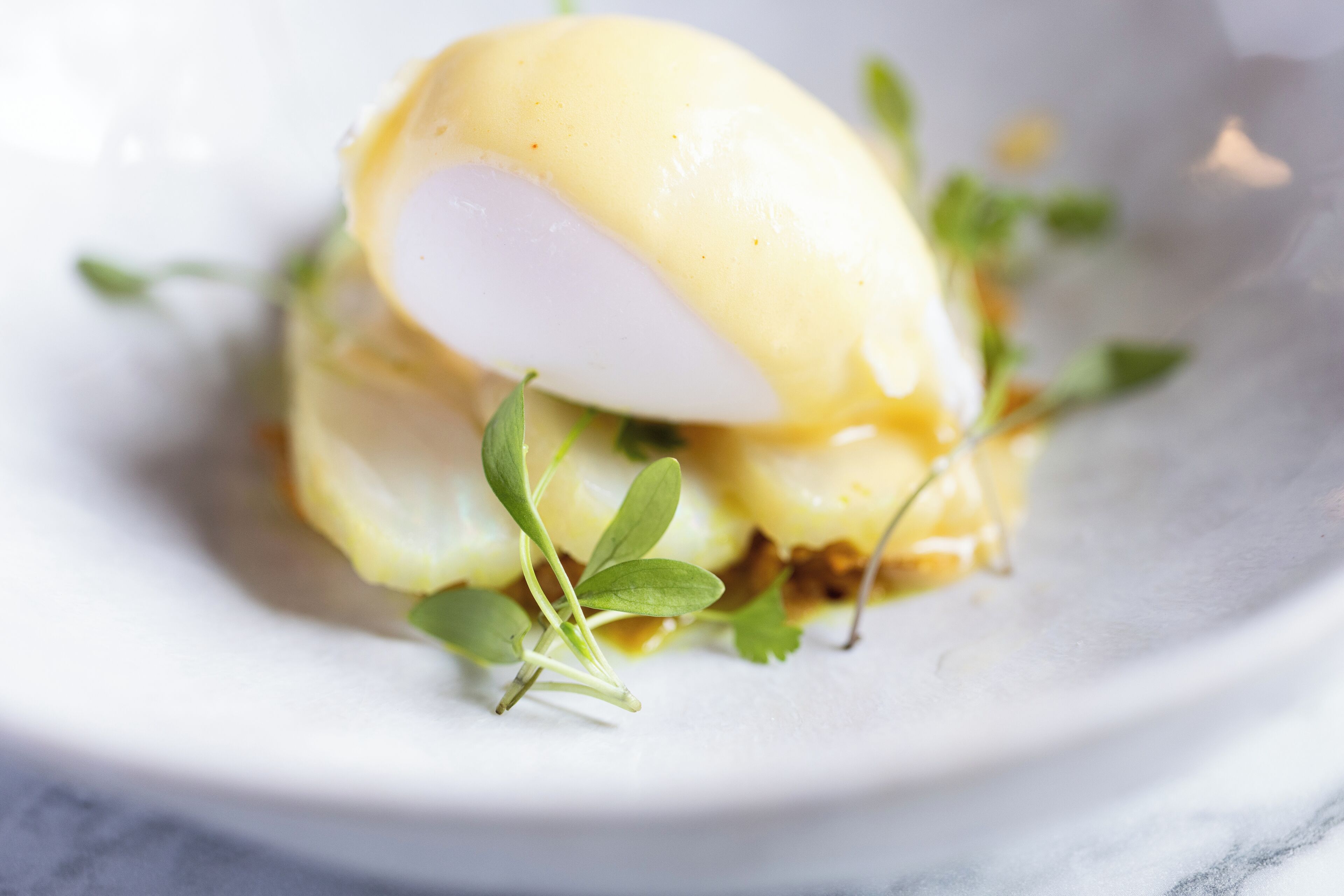 A white plate with a poached egg, greens, and a sauce.