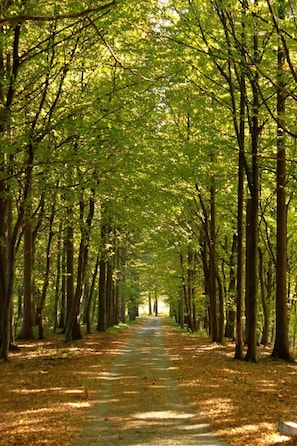 Sports facility - Dwór Sieraków (Dobczyce)