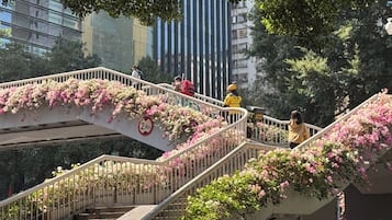 Fachada del alojamiento