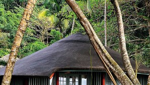 A thatched-roof structure surrounded by large green plants. - Bom Bom – Principe Collection (Príncipe Island)