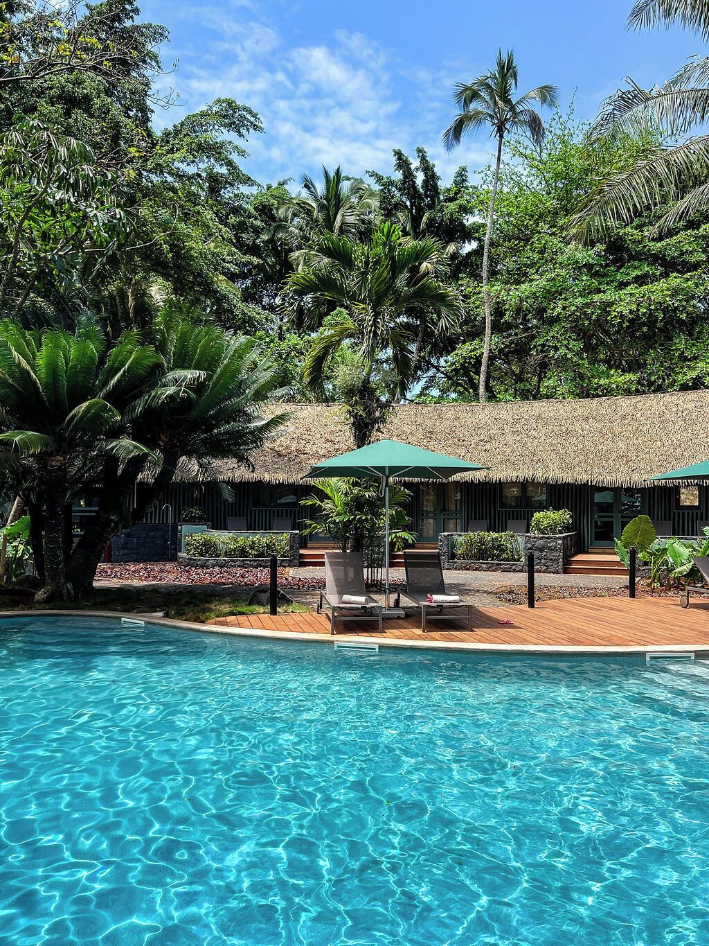 Una piscina azul cristalina con sillones de descanso y sombrillas, rodeada de exuberante vegetación y palmeras.