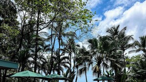 A poolside area with lounge chairs and umbrellas, surrounded by palm trees and a view of the ocean. - Bom Bom – Principe Collection (Príncipe Island)