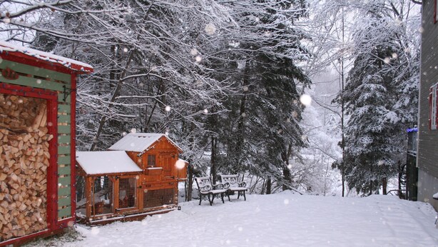 Une cabane en bois, dont le toit est recouvert de neige, avec une pile de bois de chauffage et deux bancs, le tout dans un paysage enneigé.