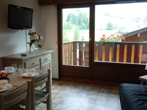 Flachbildfernseher