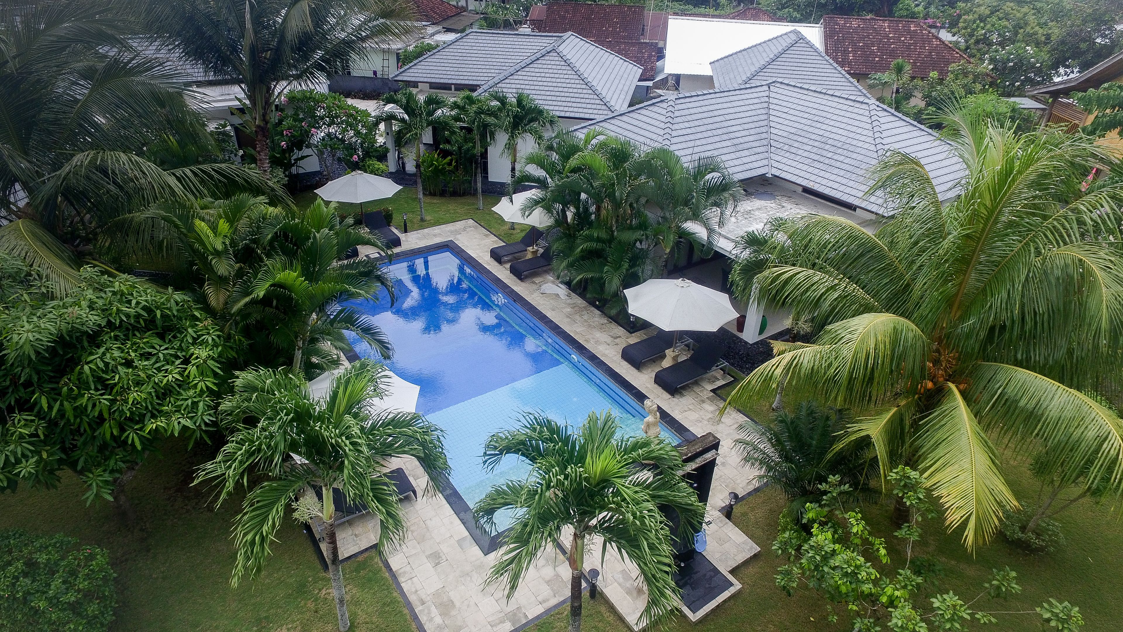A residential area with a swimming pool surrounded by palm trees and a tiled roof.