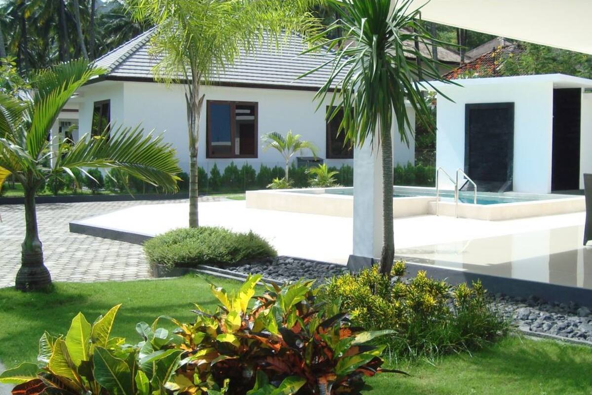 A modern house with a swimming pool, surrounded by lush greenery and palm trees.