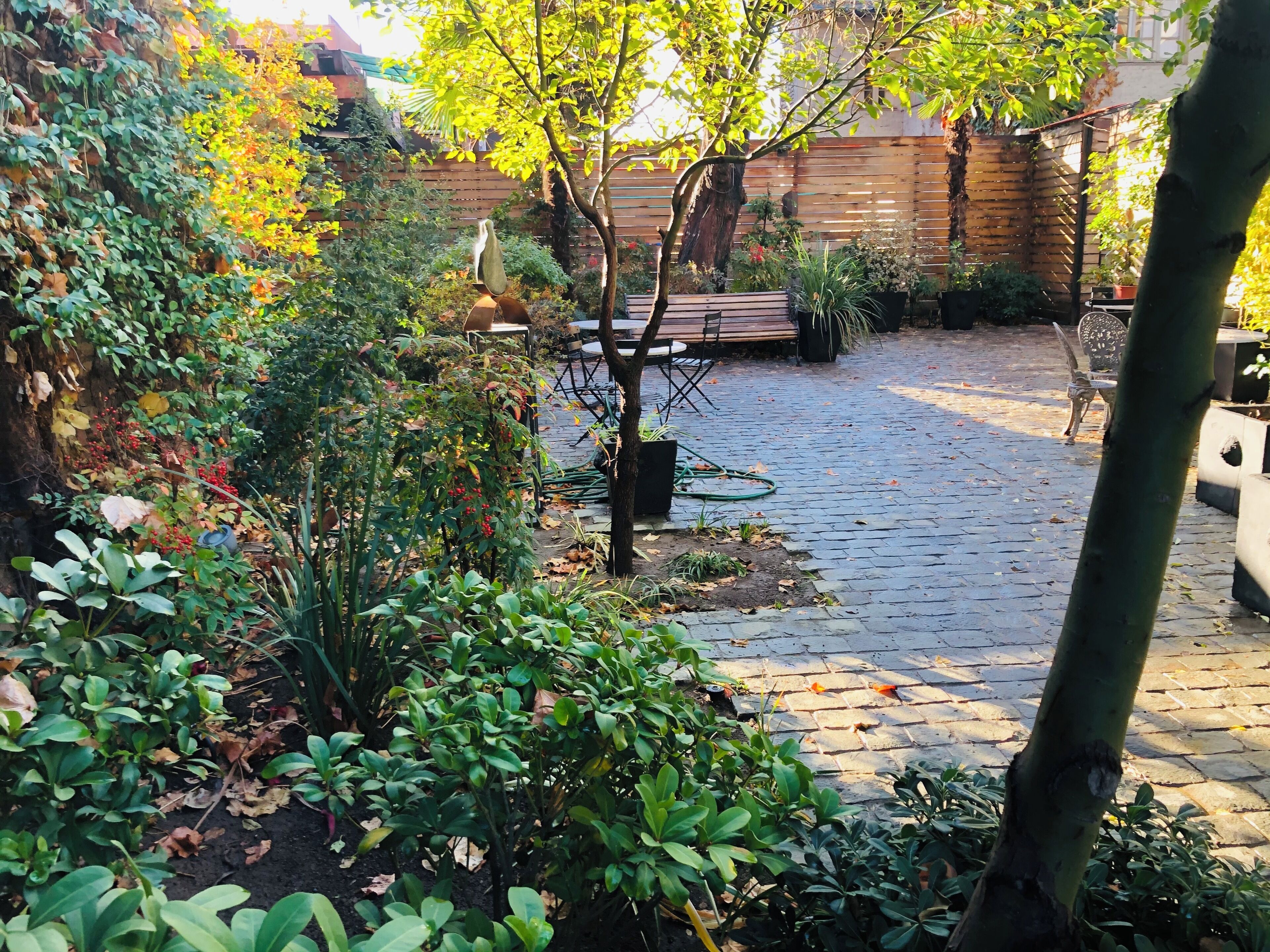 A garden with a paved walkway, various plants, and outdoor furniture.
