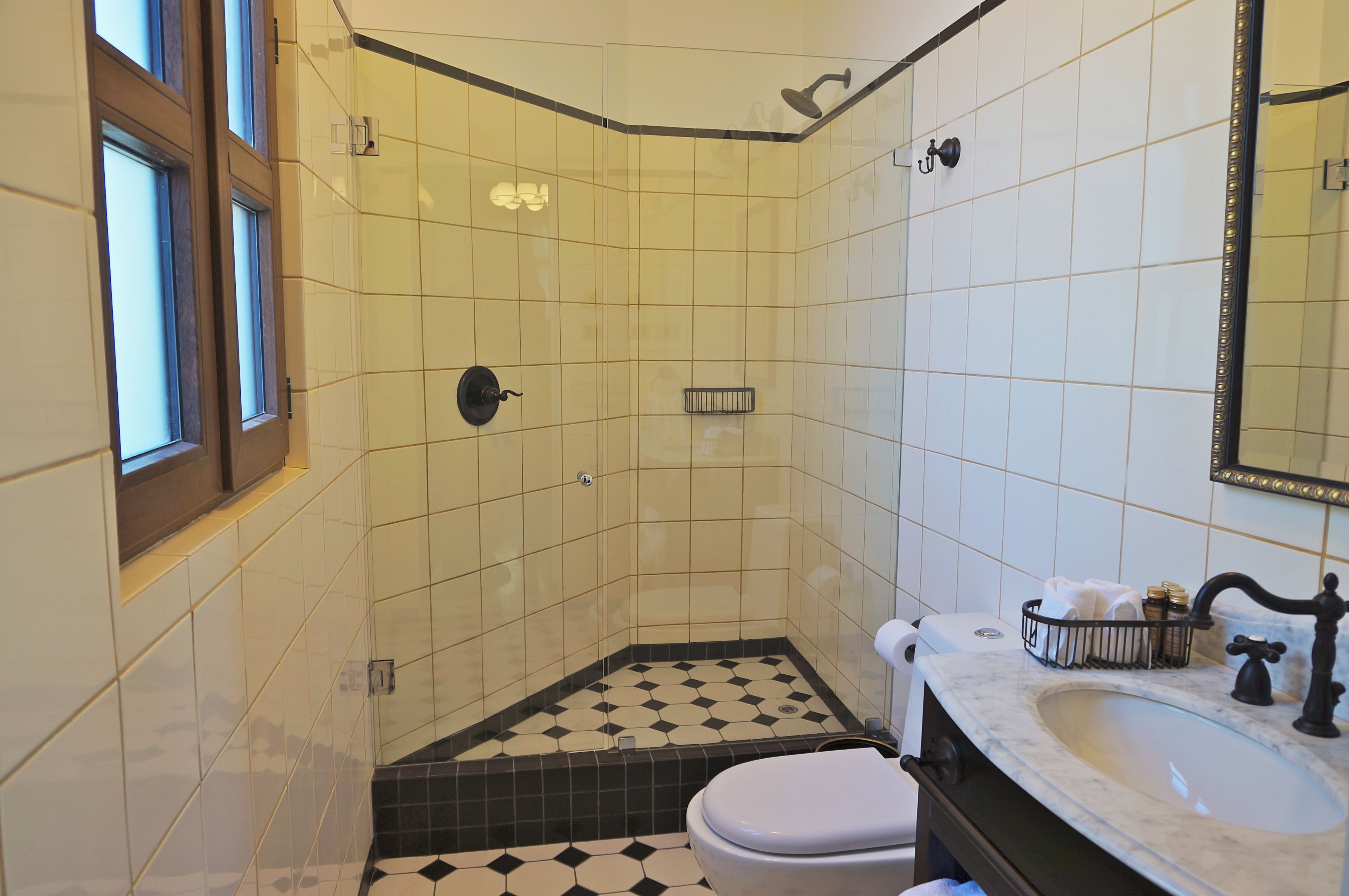 shower, rainfall showerhead, free toiletries, hair dryer