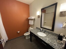 A bathroom with a sink, mirror, and toilet.