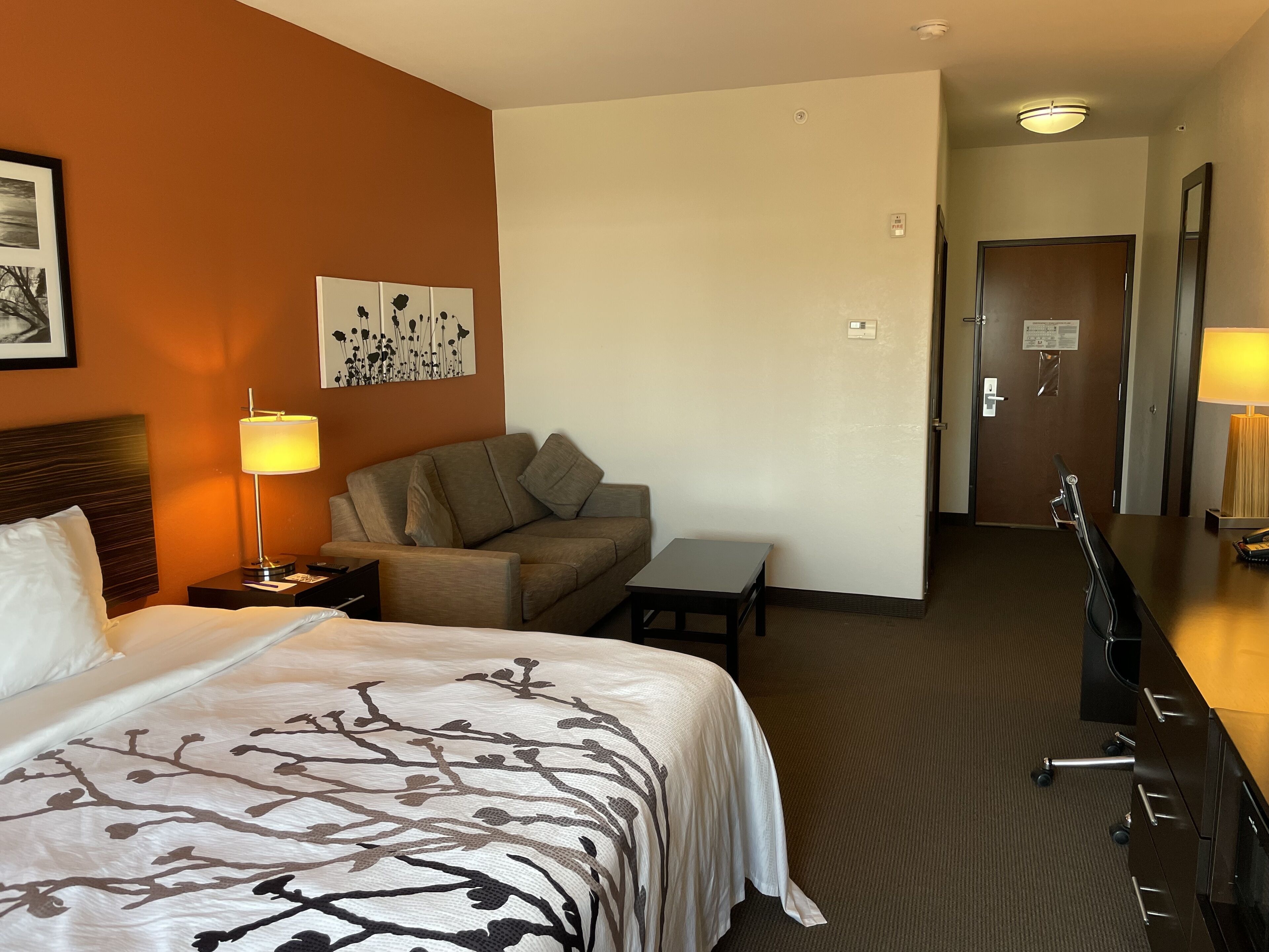 Una habitación de hotel con una cama, un sofá, un escritorio y una puerta.