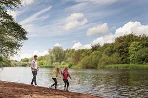 Une rive de rivière avec un pont en bois en arrière-plan.