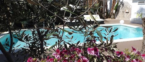 Seasonal outdoor pool, pool loungers