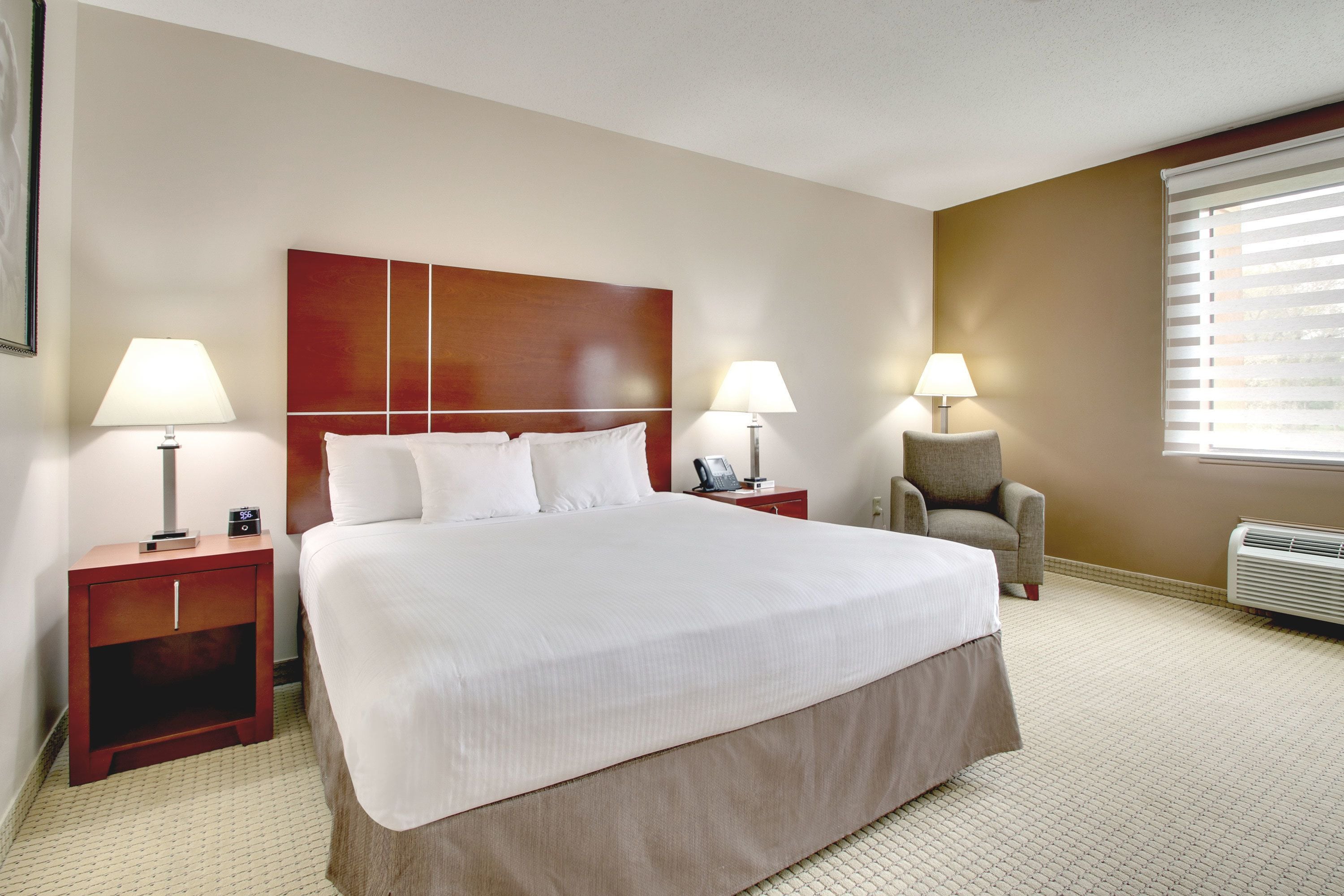 Standard Room, 1 King Bed | In-room safe, blackout drapes, iron/ironing board, rollaway beds