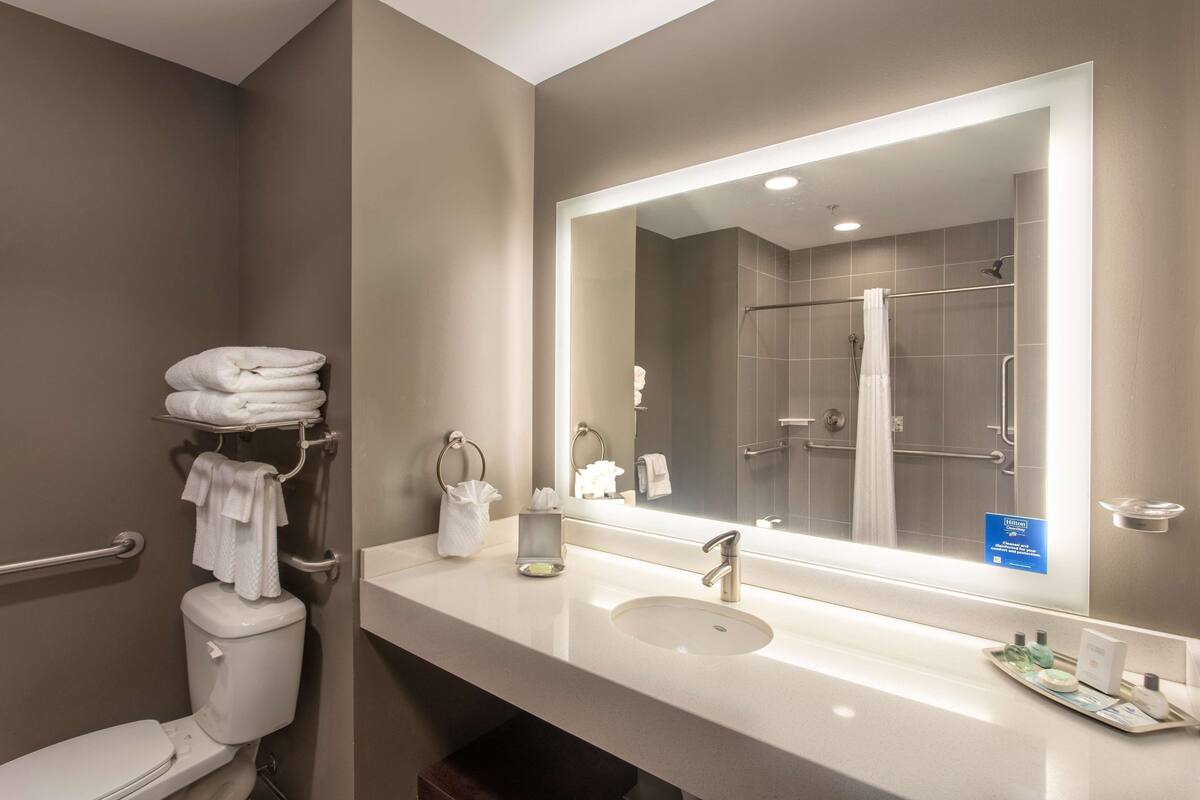 shower, free toiletries, hair dryer, towels