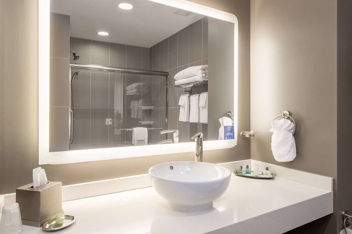 shower, free toiletries, hair dryer, towels