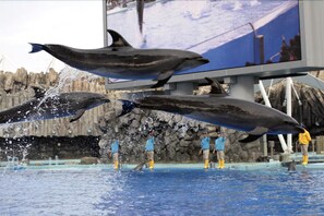 View from property - Nagoya Fushimi Mont Blanc Hotel (Nagoya)