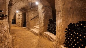 A dimly lit underground wine cellar with stone walls, wooden steps, and rows of wine bottles.