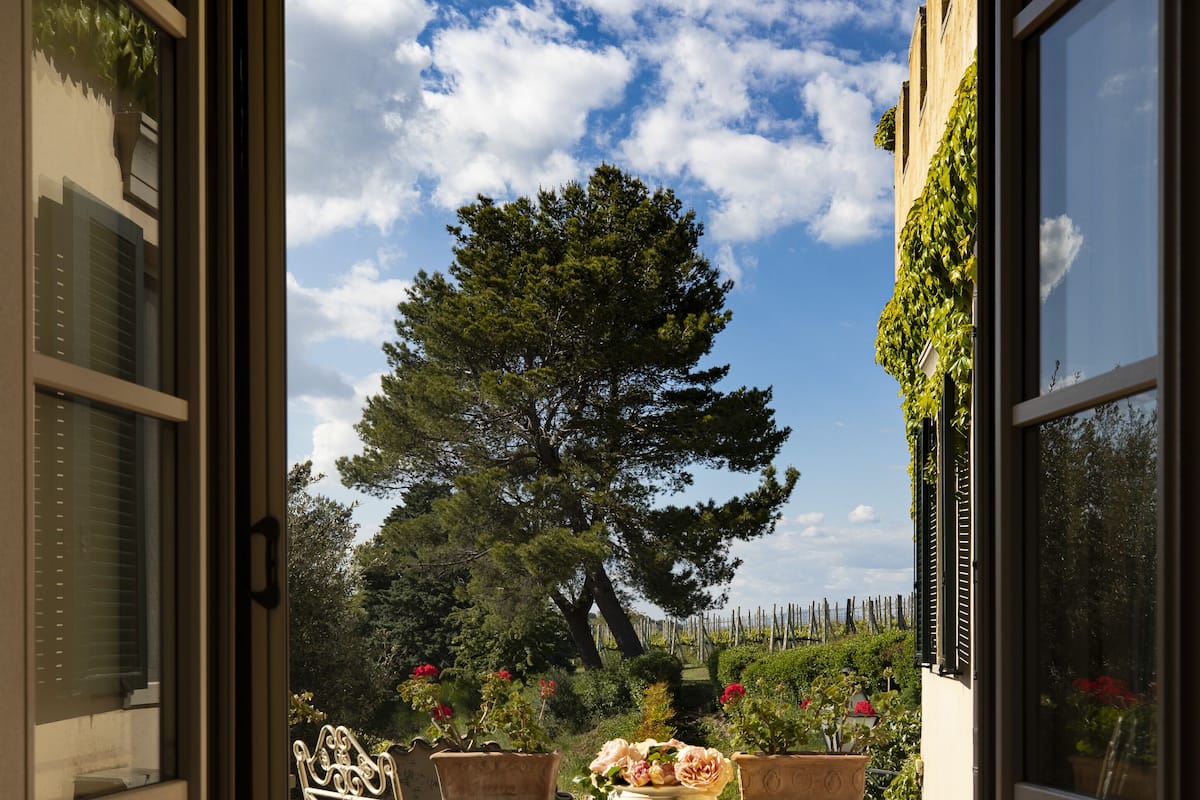 An open patio with a table and chairs, a potted plant, and a view of a tree and garden.