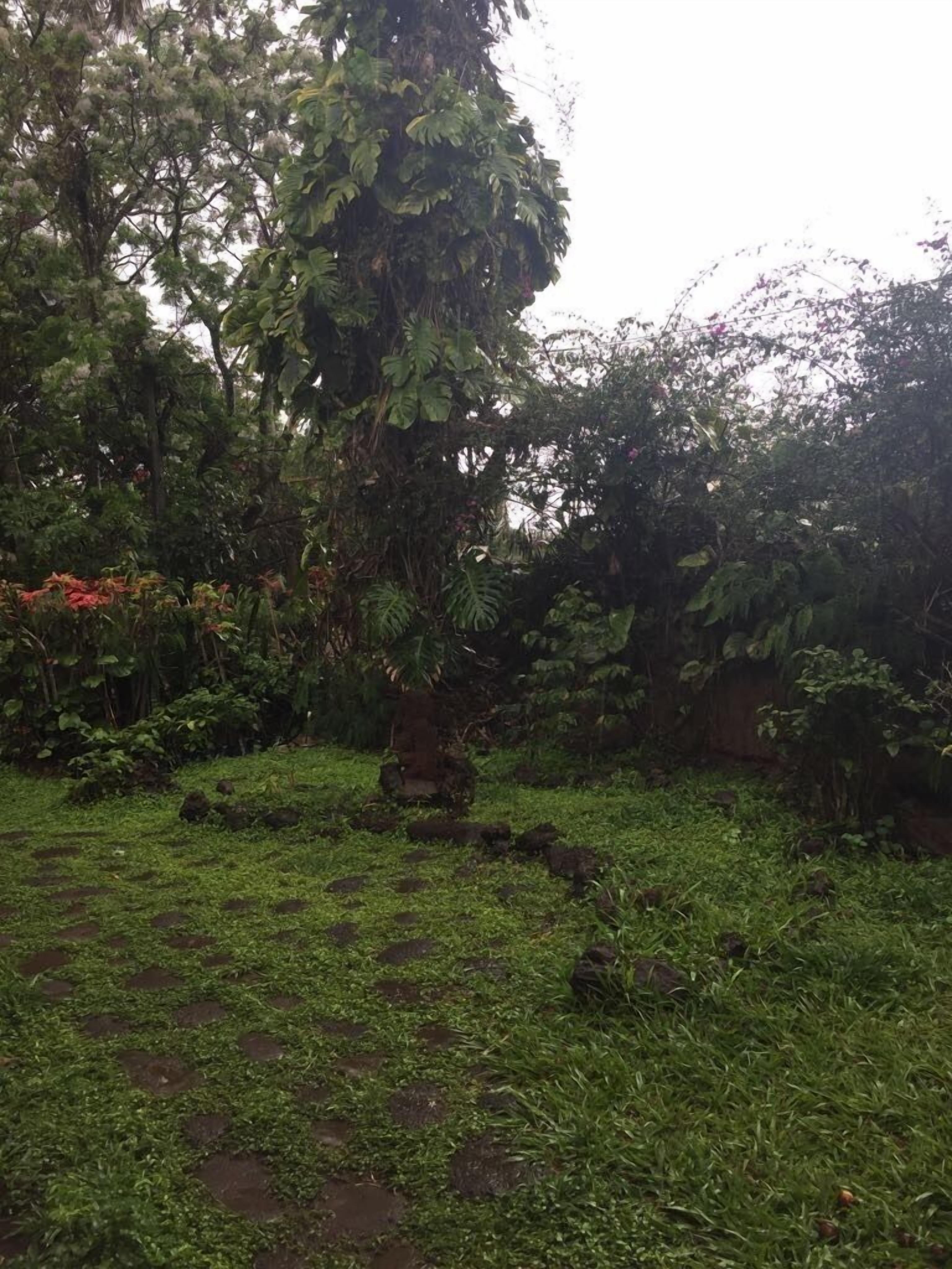 Photo - Cabañas Moenga