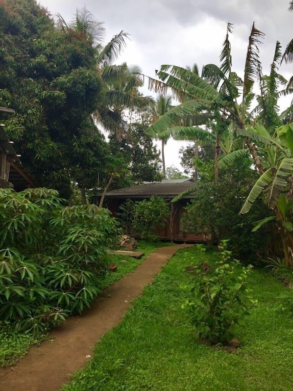 A pathway leading through a lush garden with various tropical plants and a small wooden structure in the background. - Cabañas Moenga (Hanga Roa)