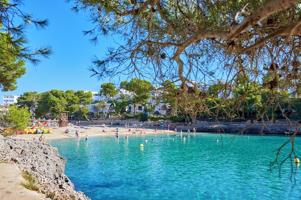 Beach nearby, beach volleyball, rowing