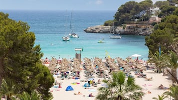Beach nearby, scuba diving, beach volleyball, rowing