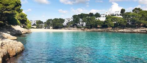 Beach nearby, scuba diving, beach volleyball, rowing