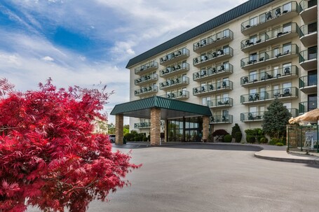 Park Grove Inn - Image 6