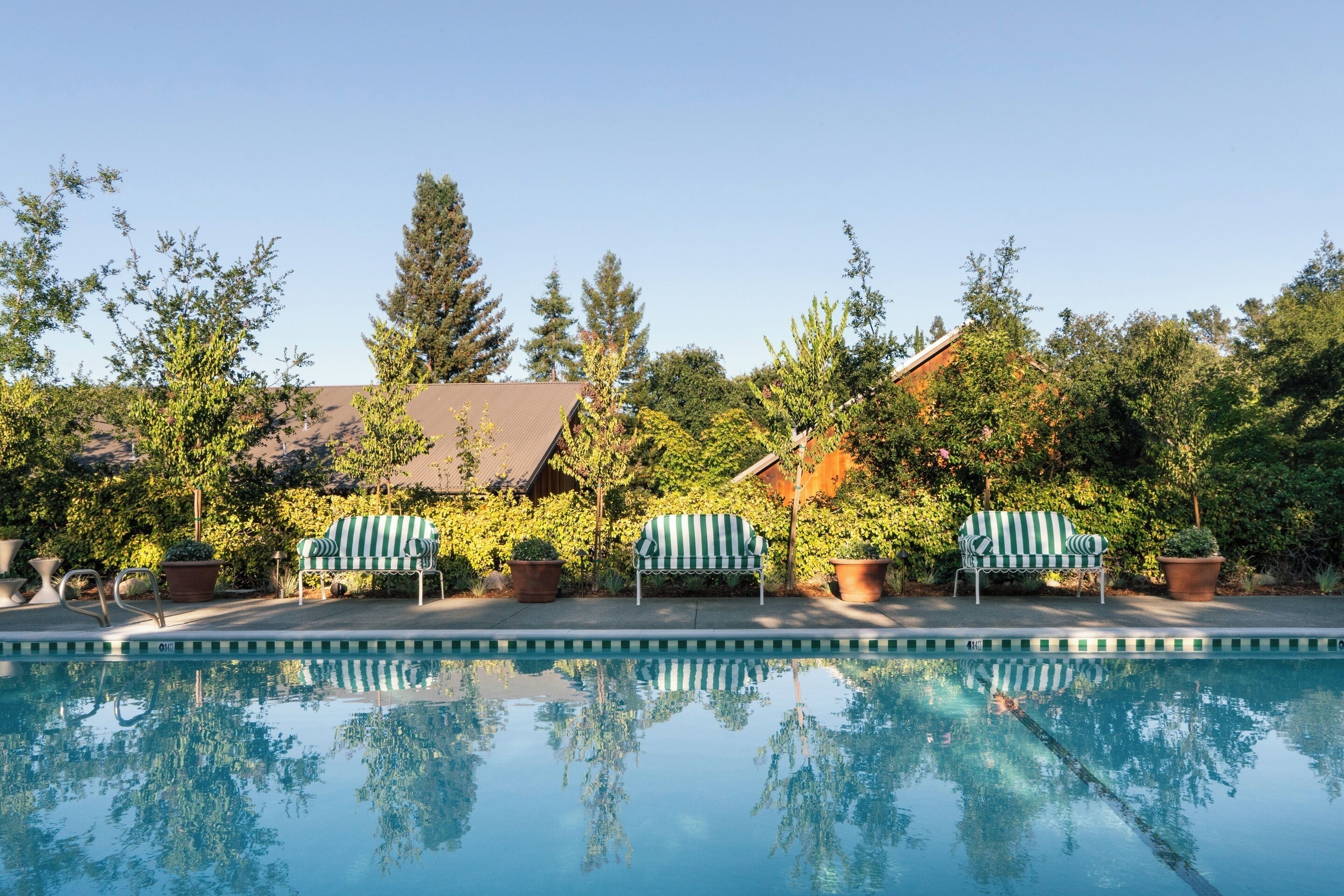 Una piscina al aire libre, sombrillas, tumbonas