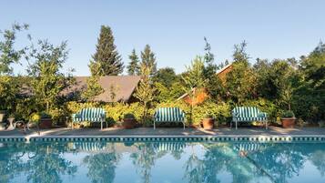 Alberca al aire libre, sombrillas en la alberca y camastros