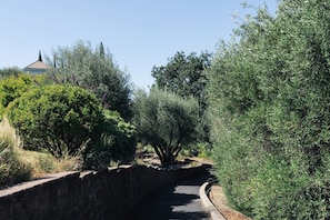 Jardín