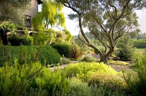 Garden view