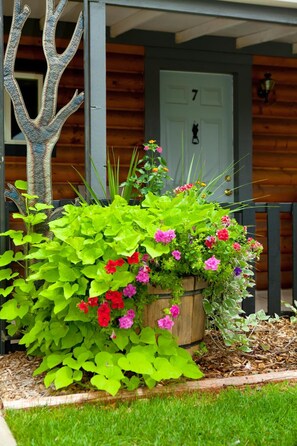 المنطقة المحيطة بالمنشأة