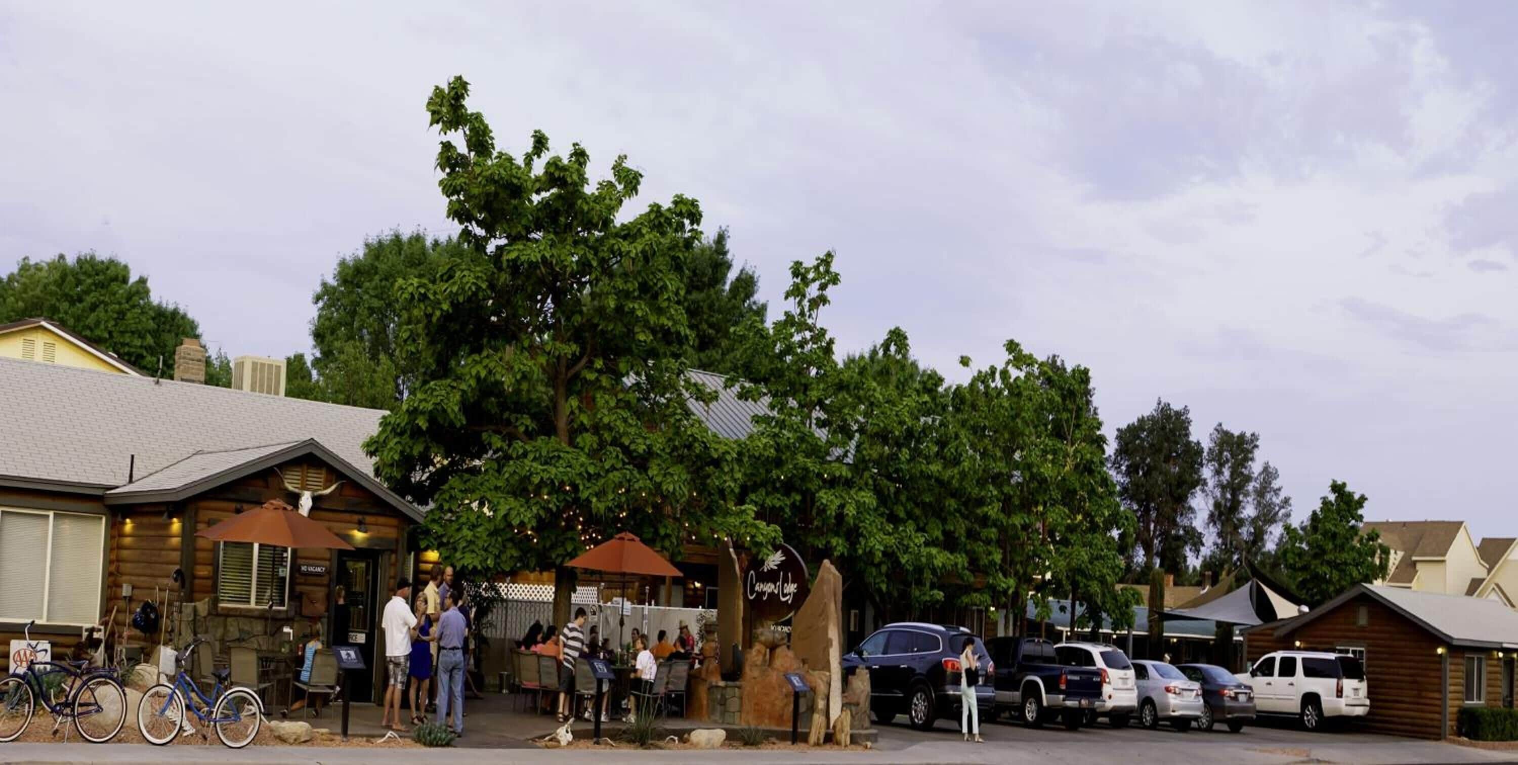 A rustic building with outdoor seating, bicycles parked outside, and a large tree in front.