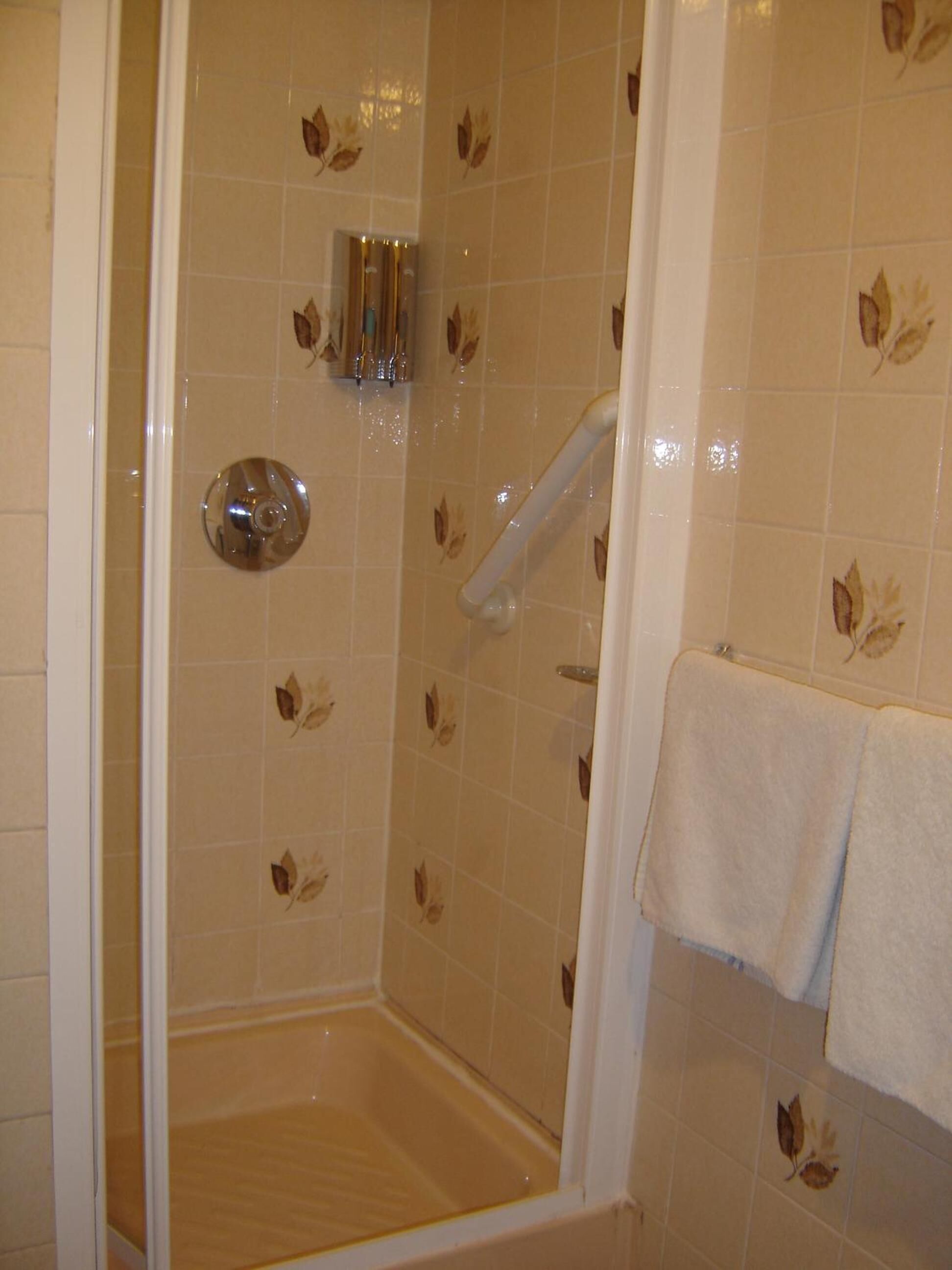 Una ducha con puerta de vidrio, barra de apoyo y toallero.