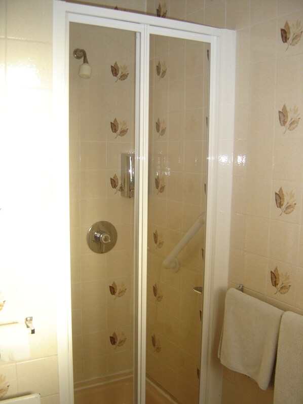 A bathroom with a glass shower enclosure, a towel rack, and a toilet.