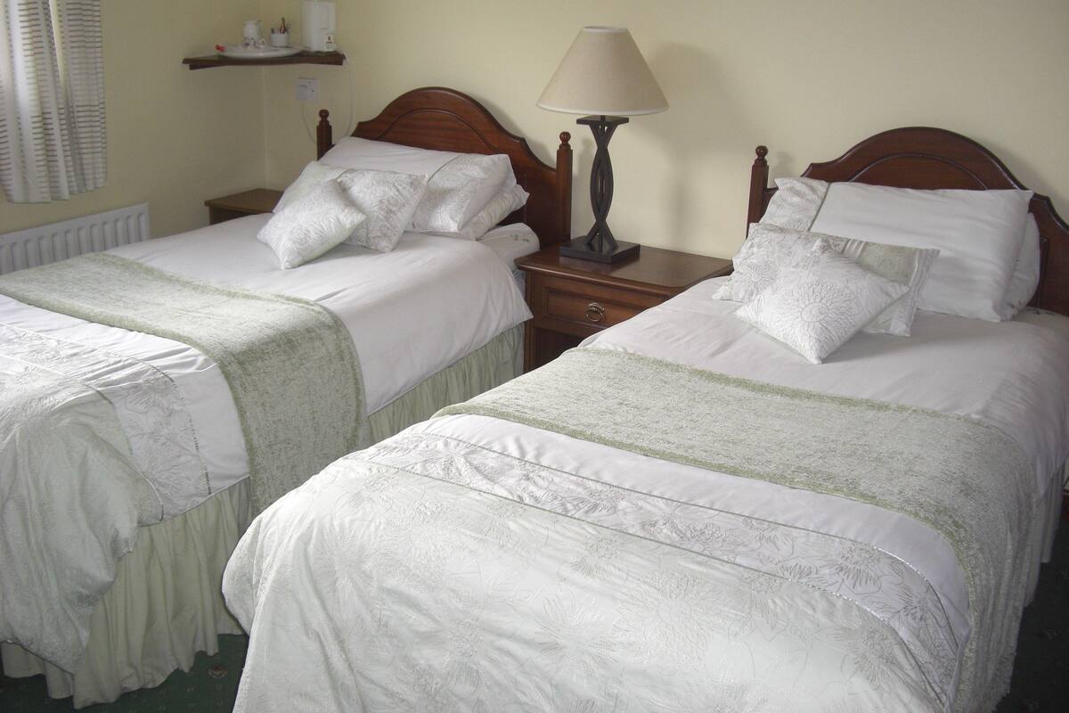 Two single beds with matching headboards and footboards, a bedside table with a lamp, and a shelf with a coffee maker and cups.