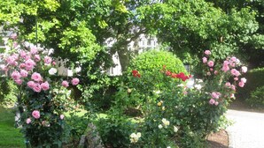 En trädgård med olika blommande växter och en stenlagd gångväg.