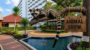 A pool area with a sign for an animal show, a water fountain, and a tree with a rope. - Sunlake Waterfront Resort and Convention (Jakarta)