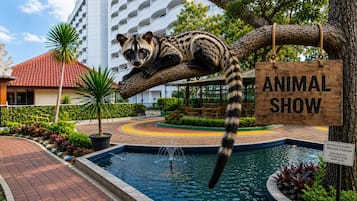 Children's play area - outdoor