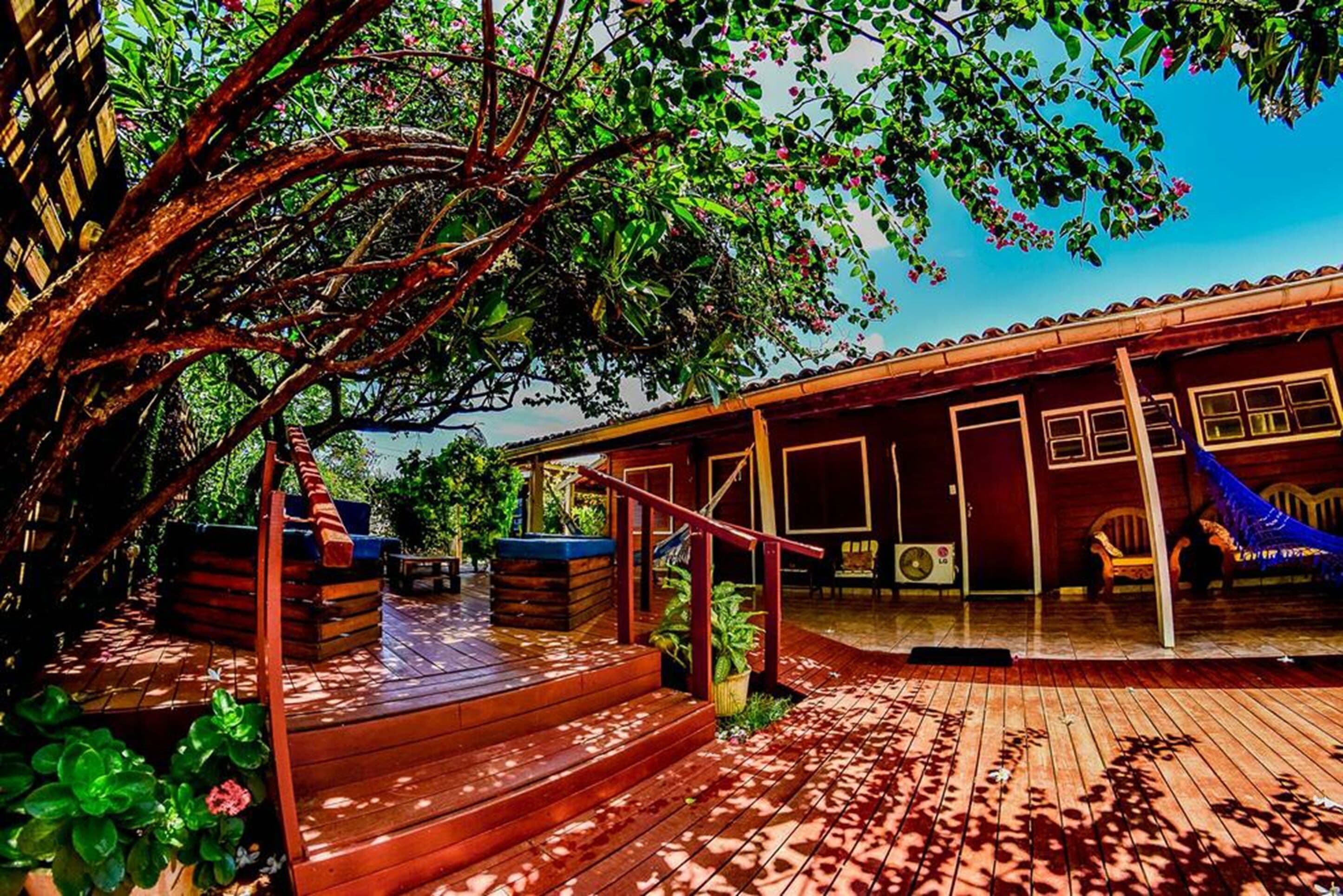 A wooden deck with steps leading to a covered porch, surrounded by lush greenery and a tree with pink flowers.
