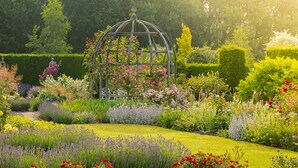 A garden with a glasshouse, various plants, and a well-maintained lawn. - The Spread Eagle Hotel (Thame)