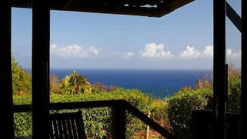 Vista desde la habitación