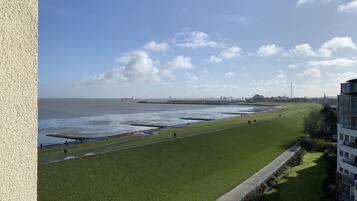 A coastal view with a grassy promenade, a pier, and industrial structures in the background.