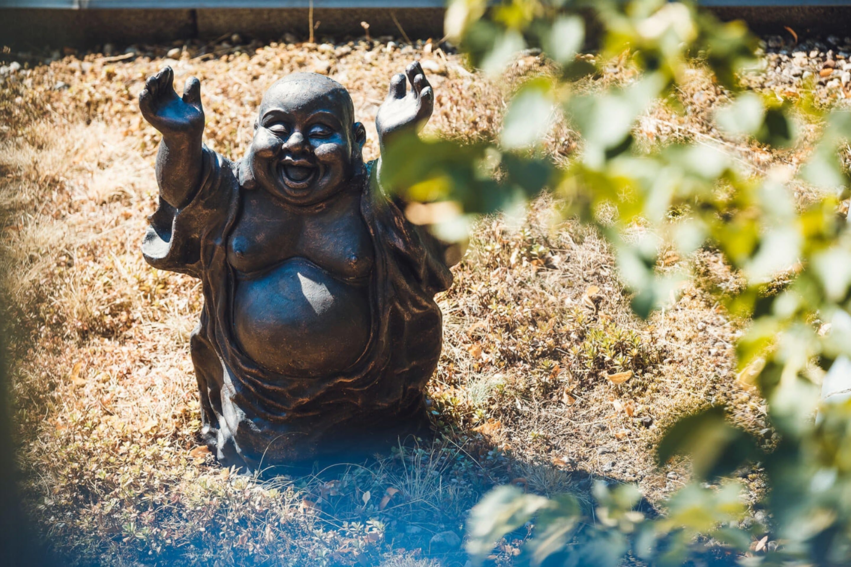 Photo - Hotel Ambiente Berlin City