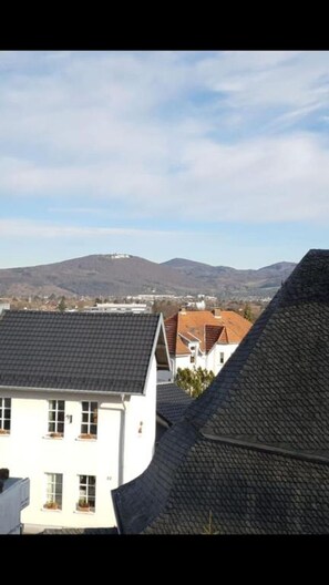 Standard Single Room | View from room - Hotel-Restaurant Sebastianushof (Bonn)