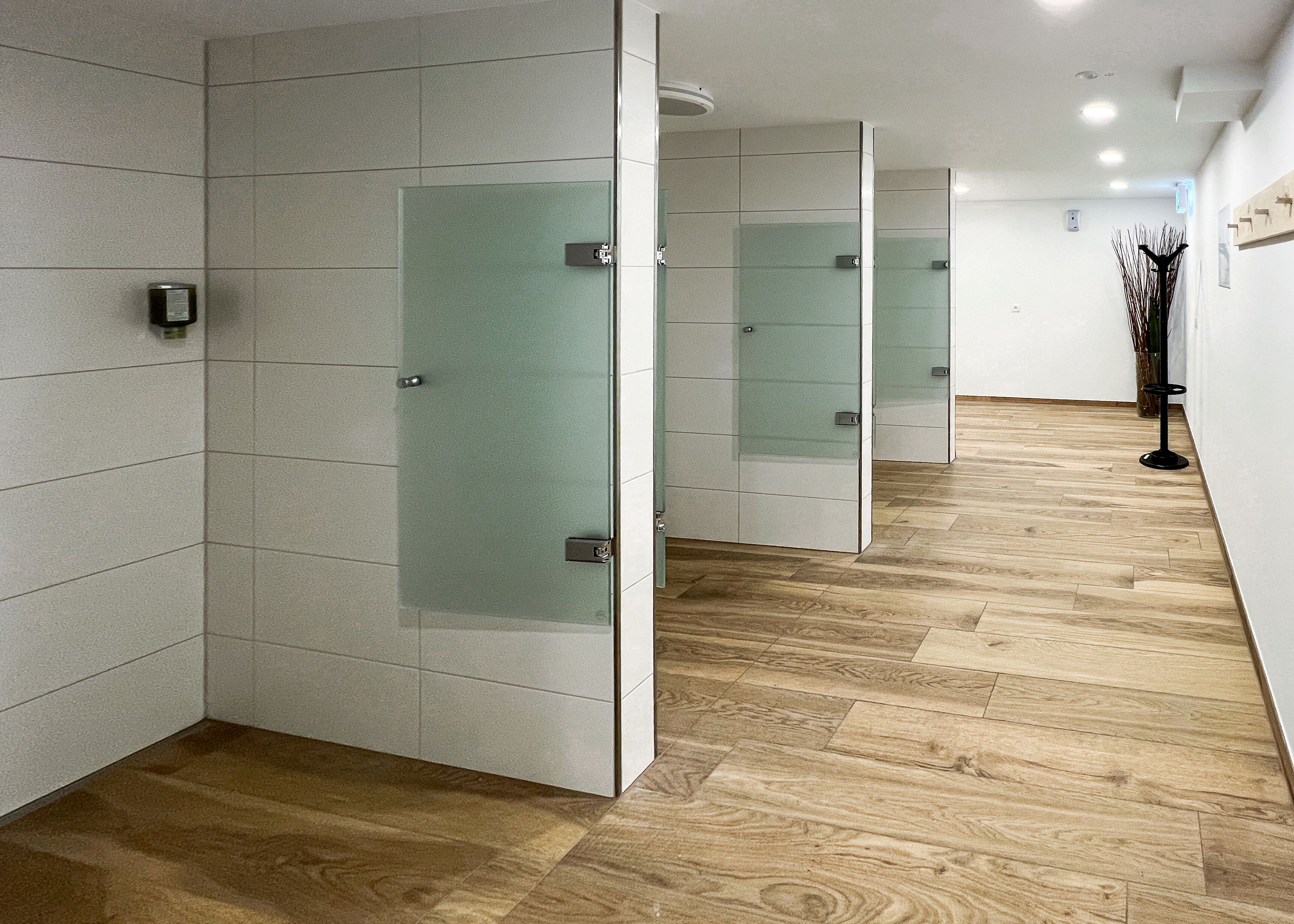 A modern hallway with wooden flooring, glass doors, and a plant in the corner.