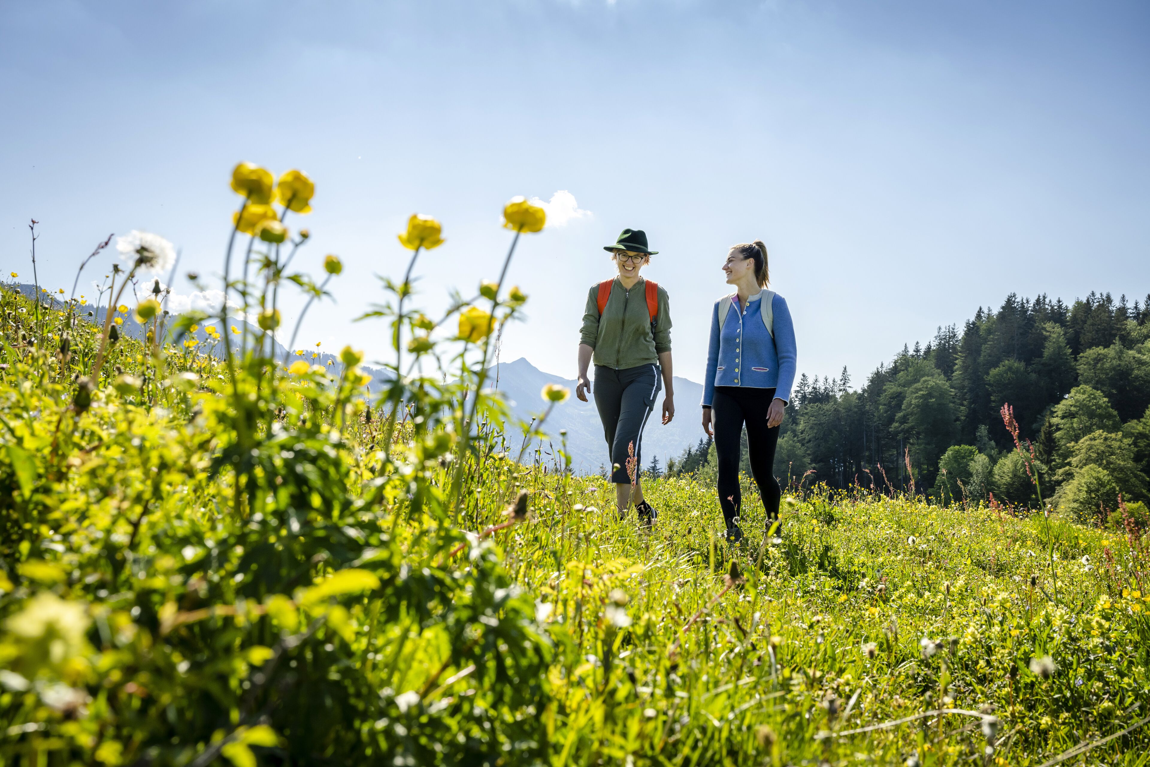Two people walking on a grassy hill with mountains in the background.